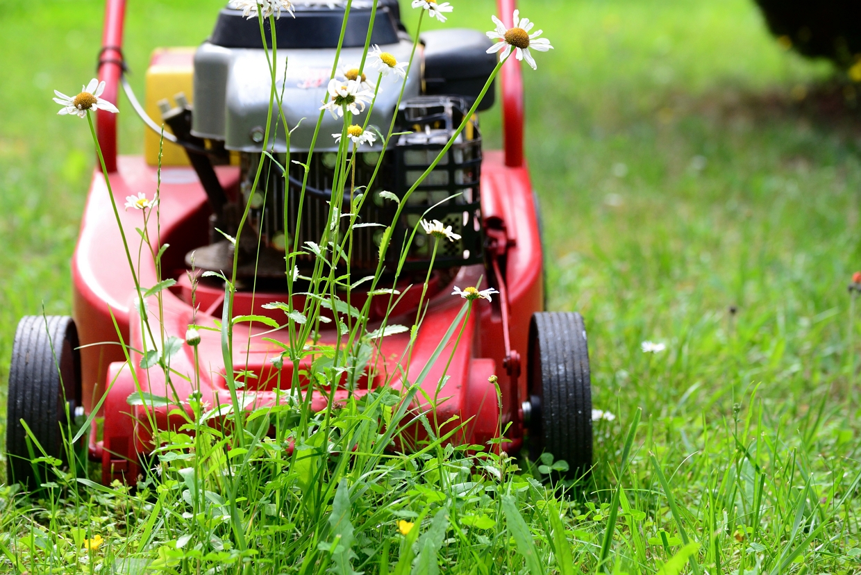 Gartenpflege